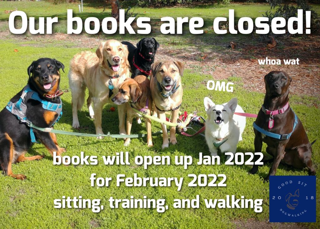 our books are closed. books will open up Jan 2022 for February 2022 sitting, training, and walking.