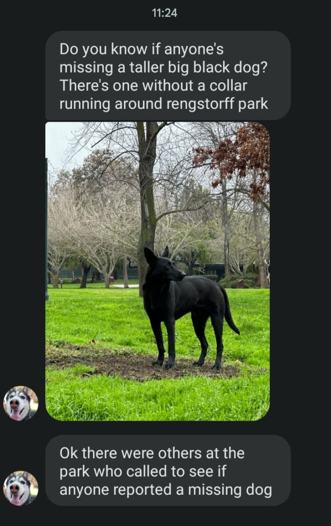 text conversation screen capture

person one: Do you know if anyone's missing a taller big dog? There's one without a collar running around rengstorff park
*image of tall, leggy black dog with pointed ears standing in grass*
person one: Ok there were others at the park who called to see if anyone reported a missing dog"