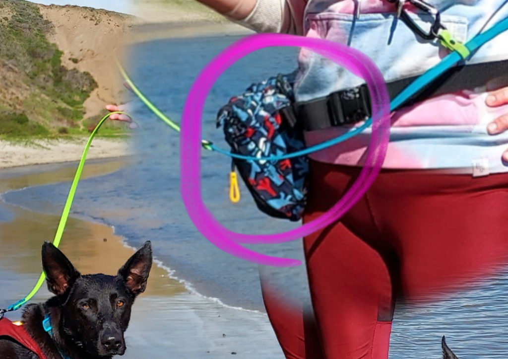 A person’s hip is zoomed in with a dog treat bag circled. the bag is blue, red, and black.